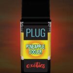 PINEAPPLE COOLER